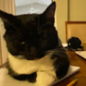 Meet your Posher, Jamie